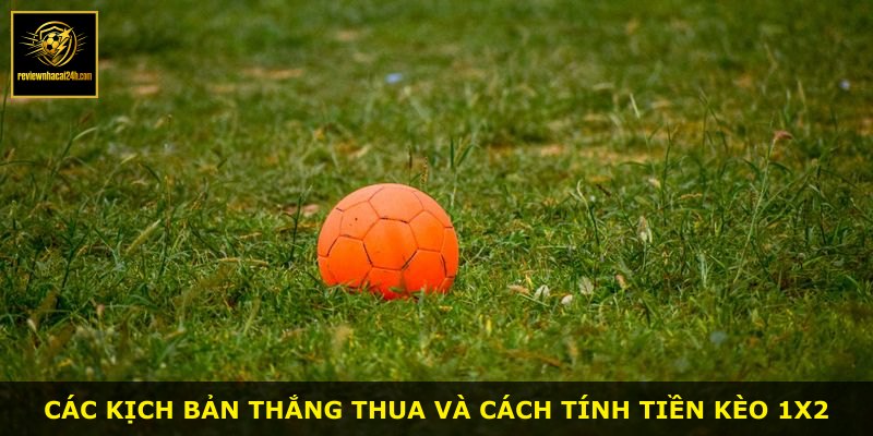 Các kịch bản thắng thua và cách tính tiền kèo 1X2