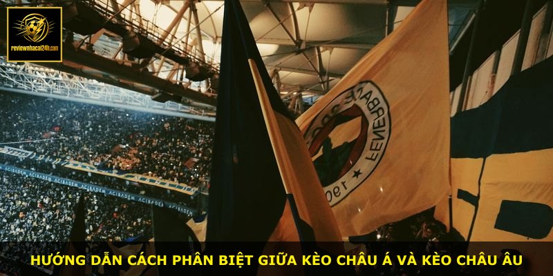 Hướng dẫn cách phân biệt giữa kèo châu Á và kèo châu Âu