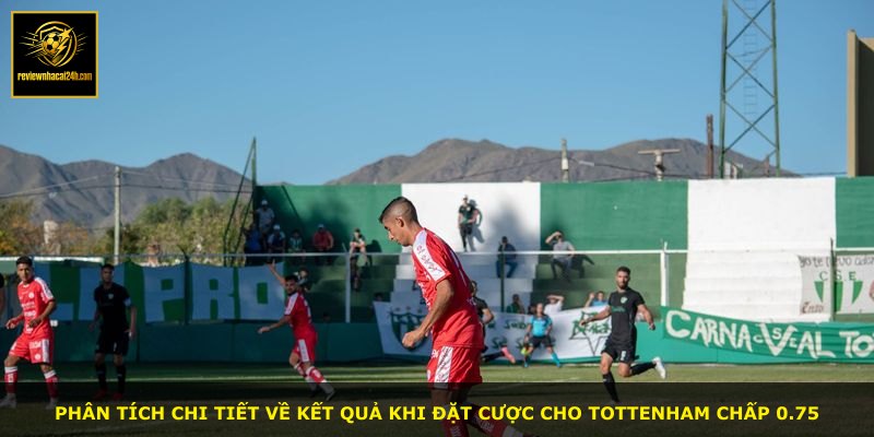 Phân tích chi tiết về kết quả khi đặt cược cho Tottenham chấp 0.75
