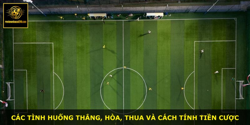 Các tình huống thắng, hòa, thua và cách tính tiền cược