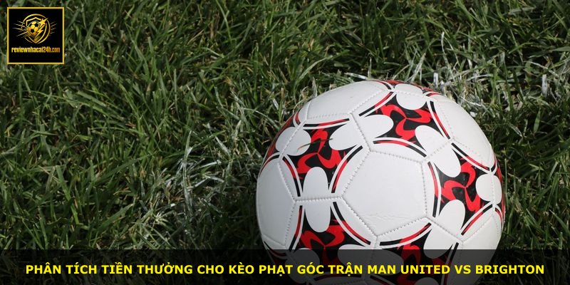 Phân tích tiền thưởng cho kèo phạt góc trận Man United vs Brighton