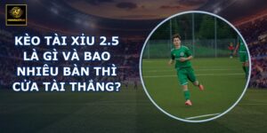 Kèo tài xỉu 2.5 là gì