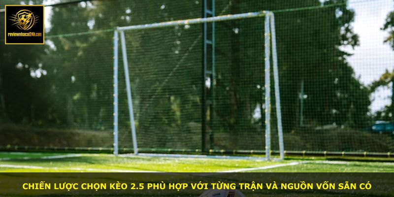 Chiến lược chọn kèo 2.5 phù hợp với từng trận và nguồn vốn sẵn có