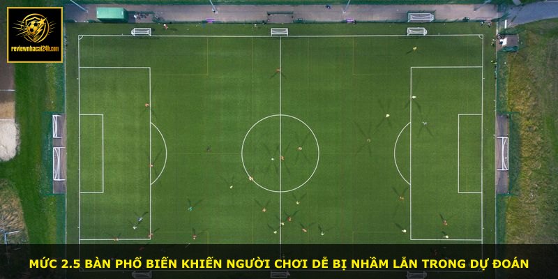 Mức 2.5 bàn phổ biến khiến người chơi dễ bị nhầm lẫn trong dự đoán