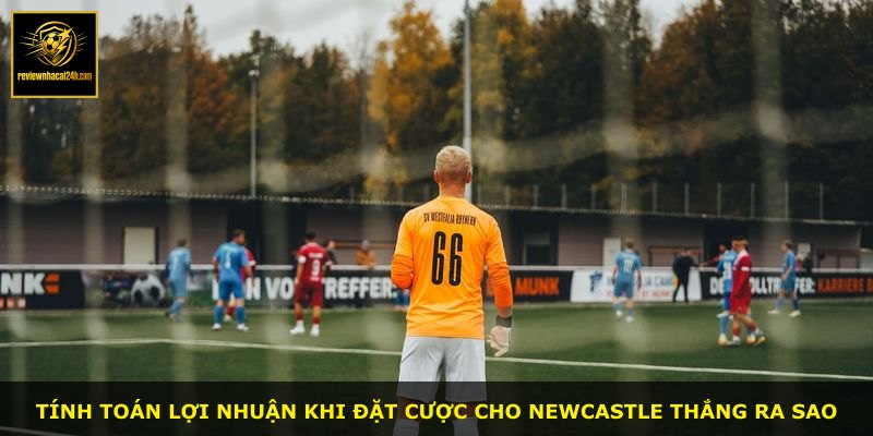 Tính toán lợi nhuận khi đặt cược cho Newcastle thắng ra sao
