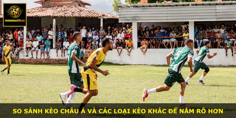 So sánh kèo châu Á và các loại kèo khác để nắm rõ hơn