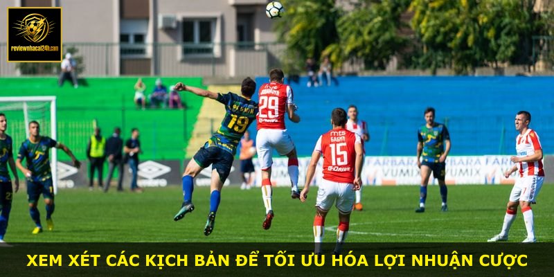 Xem xét các kịch bản để tối ưu hóa lợi nhuận cược