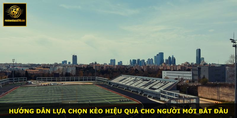 Hướng dẫn lựa chọn kèo hiệu quả cho người mới bắt đầu