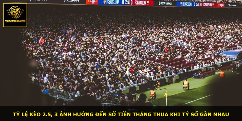 Tỷ lệ kèo 2.5, 3 ảnh hưởng đến số tiền thắng thua khi tỷ số gần nhau