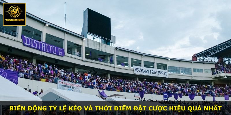 Biến động tỷ lệ kèo và thời điểm đặt cược hiệu quả nhất