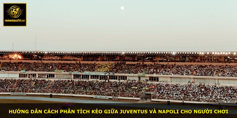 Hướng dẫn cách phân tích kèo giữa Juventus và Napoli cho người chơi