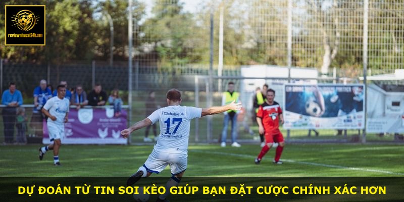 Dự đoán từ tin soi kèo giúp bạn đặt cược chính xác hơn