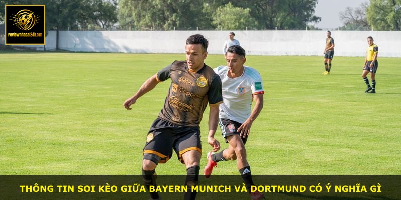Thông tin soi kèo giữa Bayern Munich và Dortmund có ý nghĩa gì